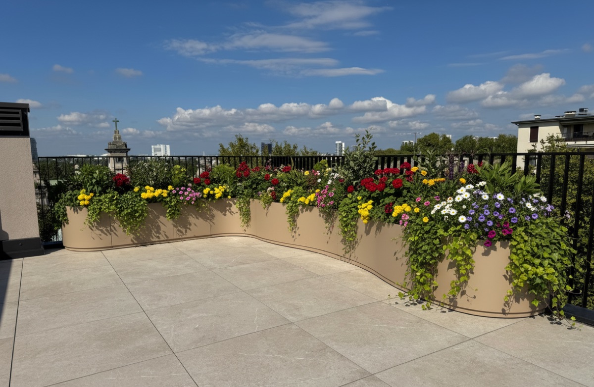 OndaDomino galambszürke