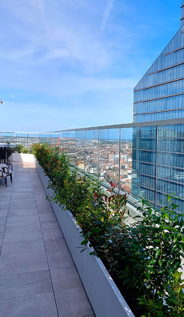 Cardo Brussels Hotel 4